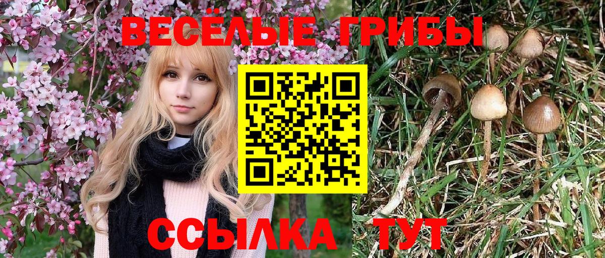 где купить наркоту  Псилоцибиновые грибы GOLDEN TEACHER  Галлюциногенные грибы GOLDEN TEACHER  Вход с VPN  Красноуфимск 
