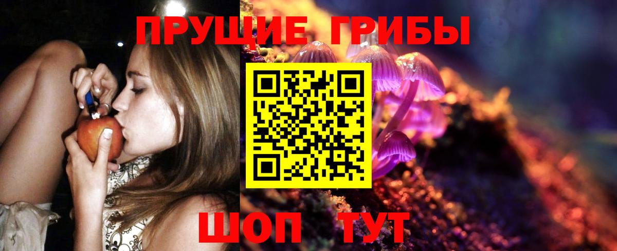 Галлюциногенные грибы Psilocybe Красноуфимск